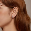 A3690_5.webp